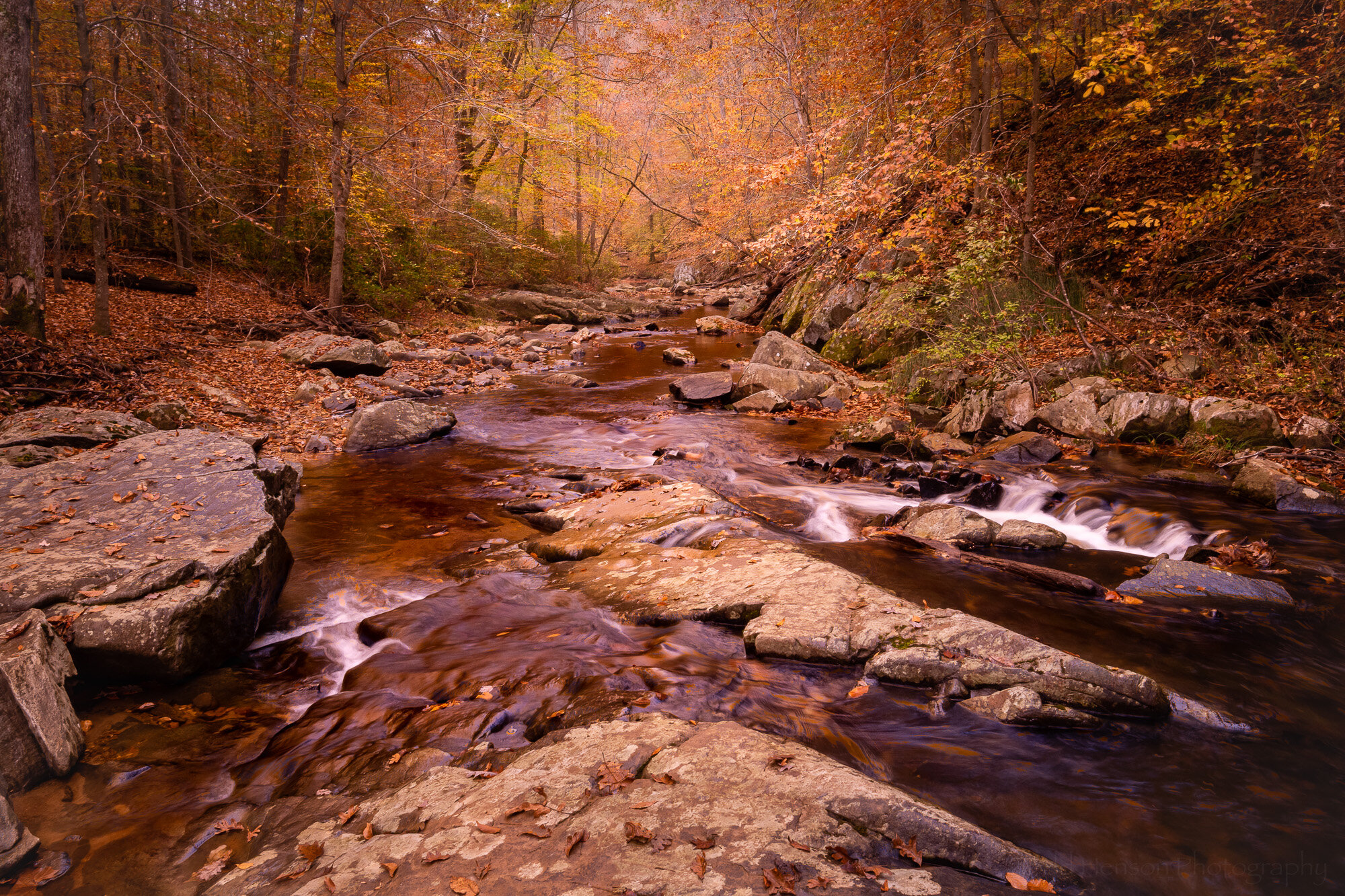  South Fork - The Blue &amp; The Gold 