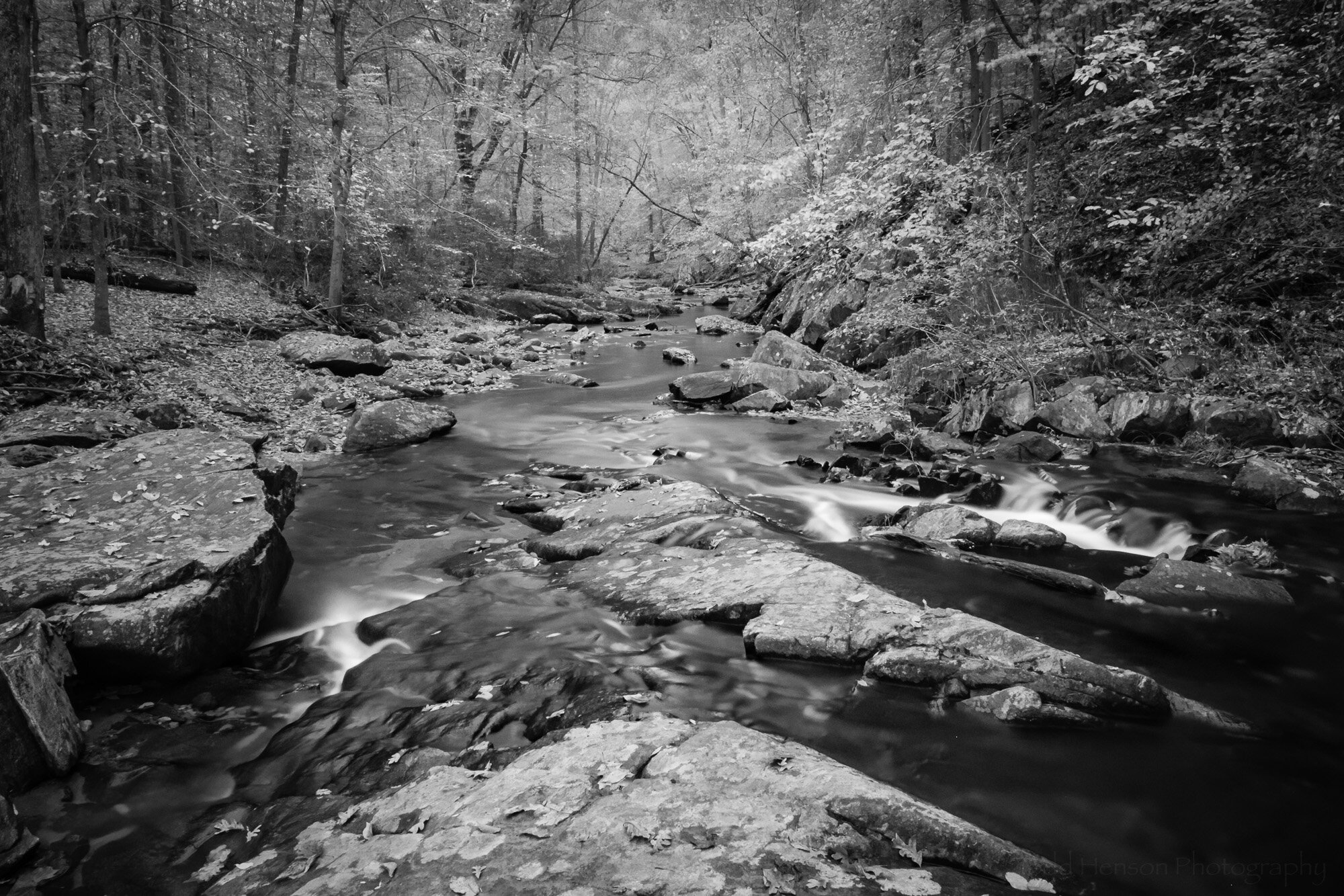  South Fork - Seeing Infrared 