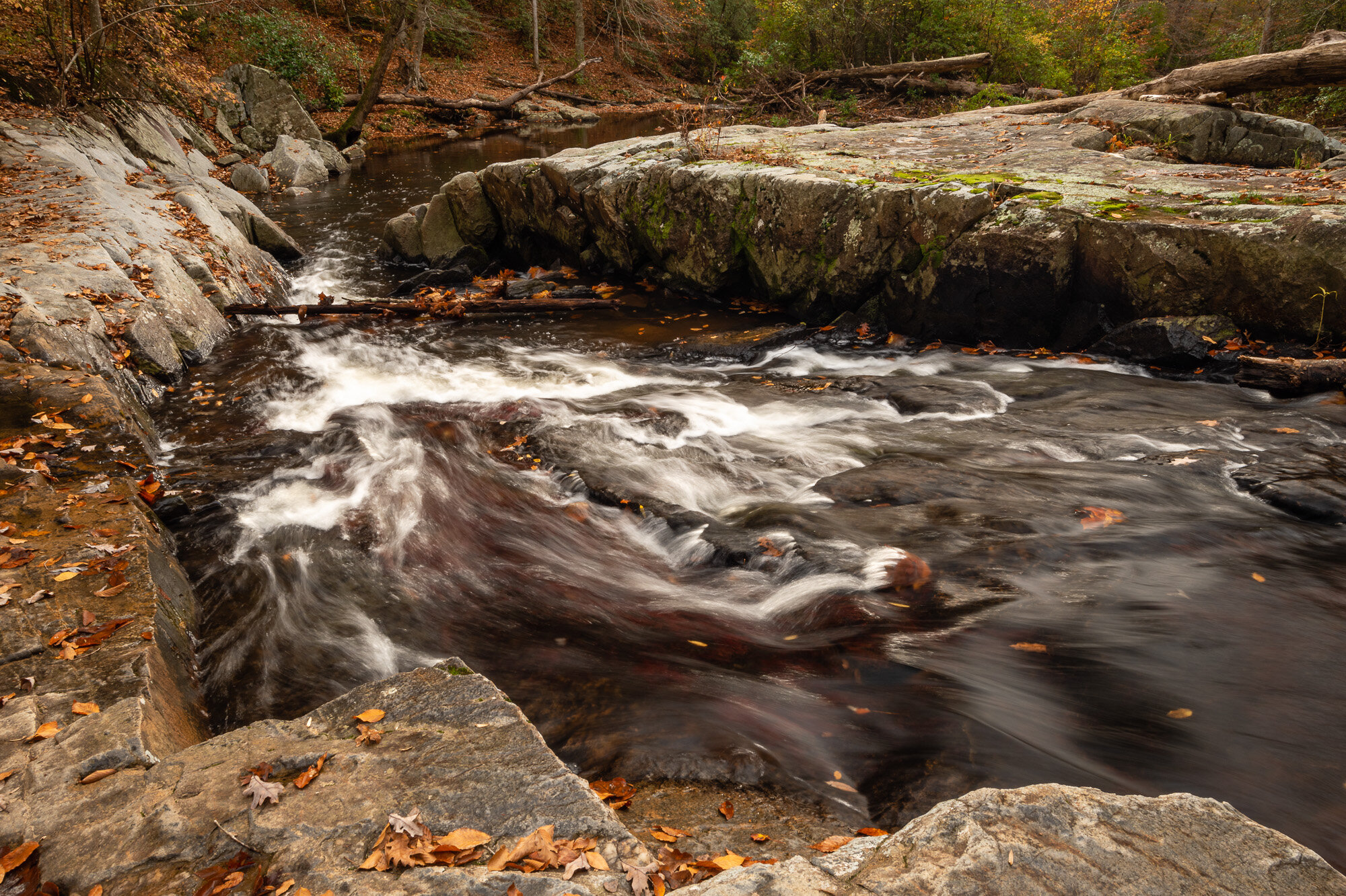 South Fork Flow - Unfiltered