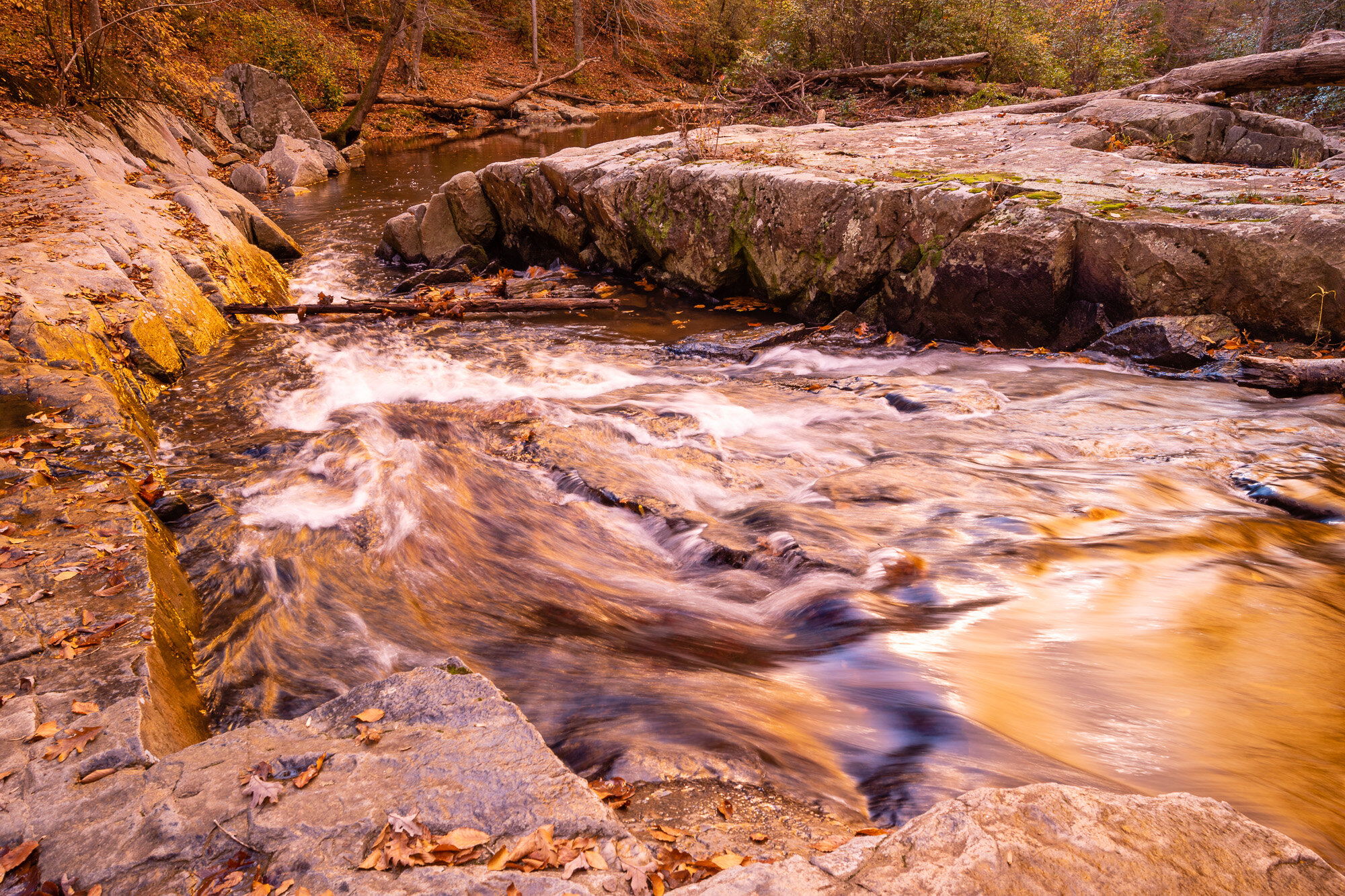 South Fork Flow - Gold-n-Blue