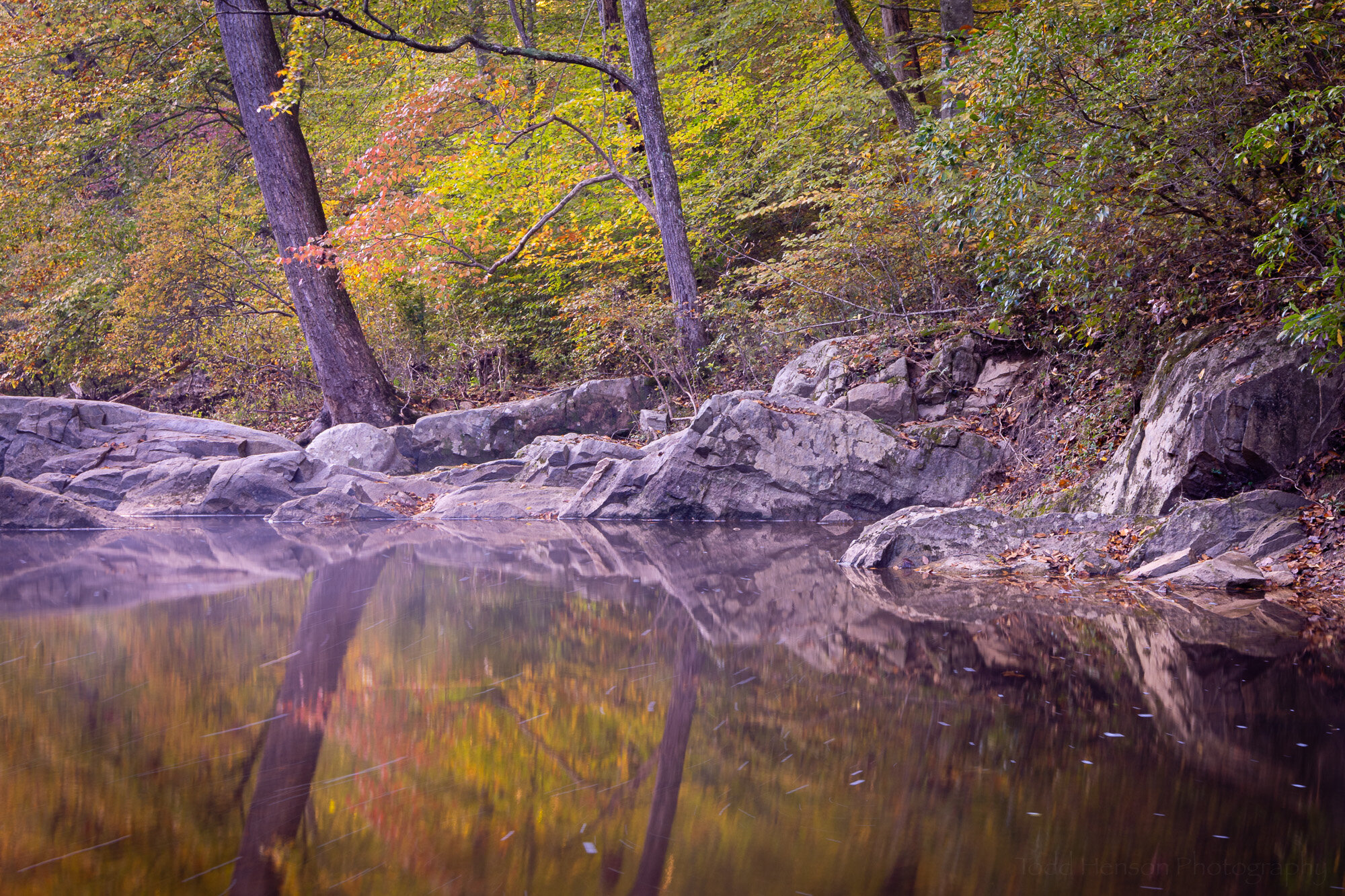 Creekside in Autumn Redux