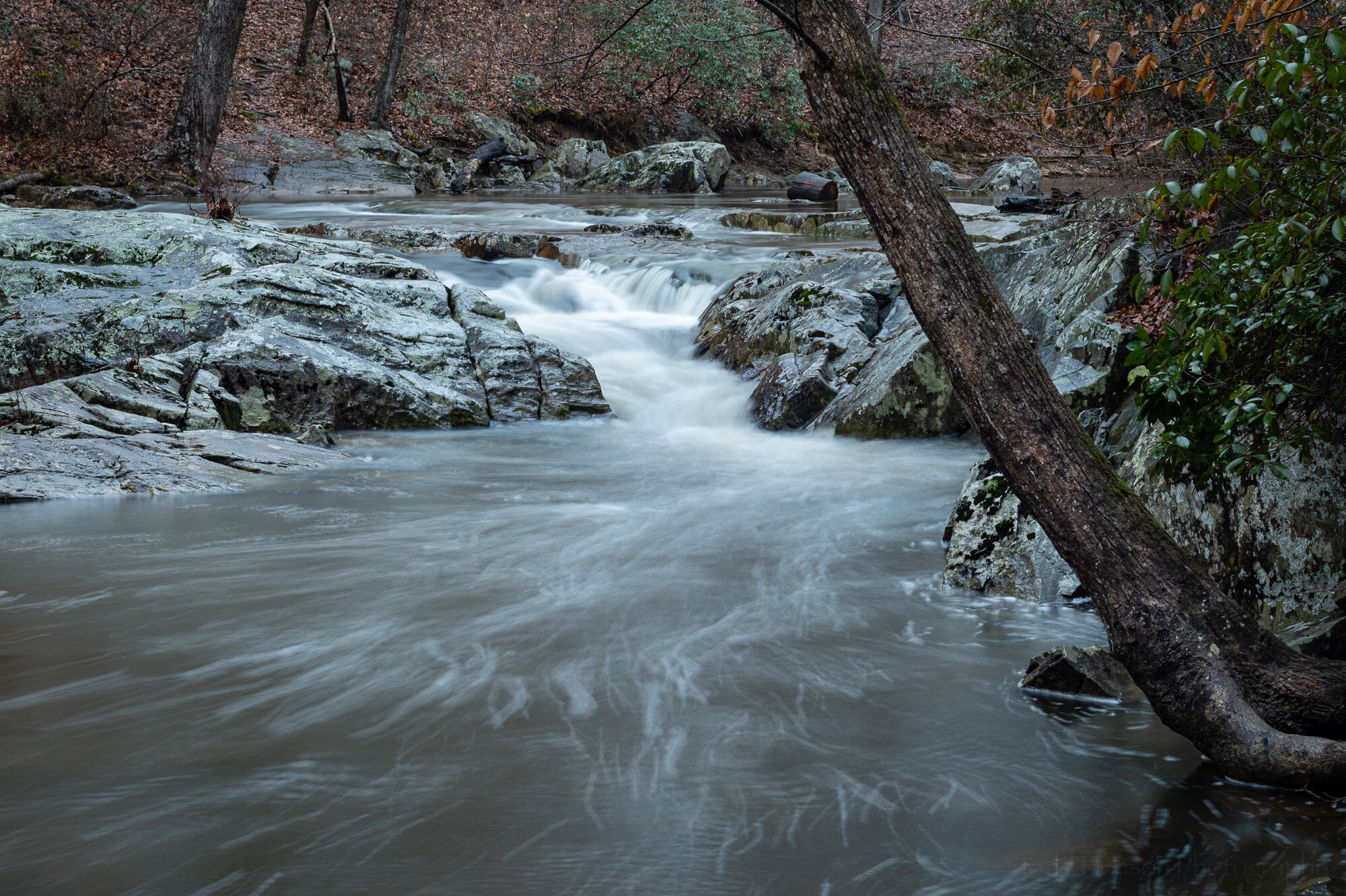  Polarizing filter allowing reflections 