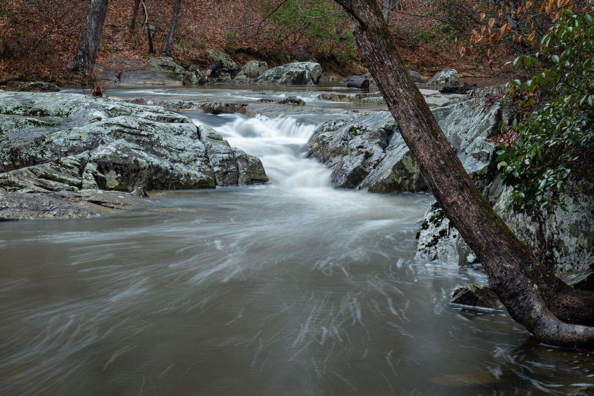  Polarizing filter reducing reflections 