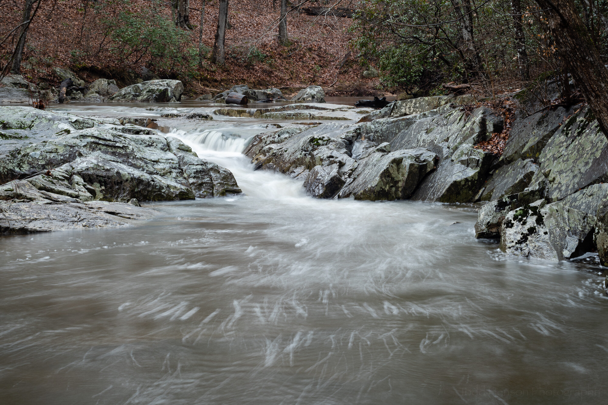  Polarizing filter allowing reflecitons 