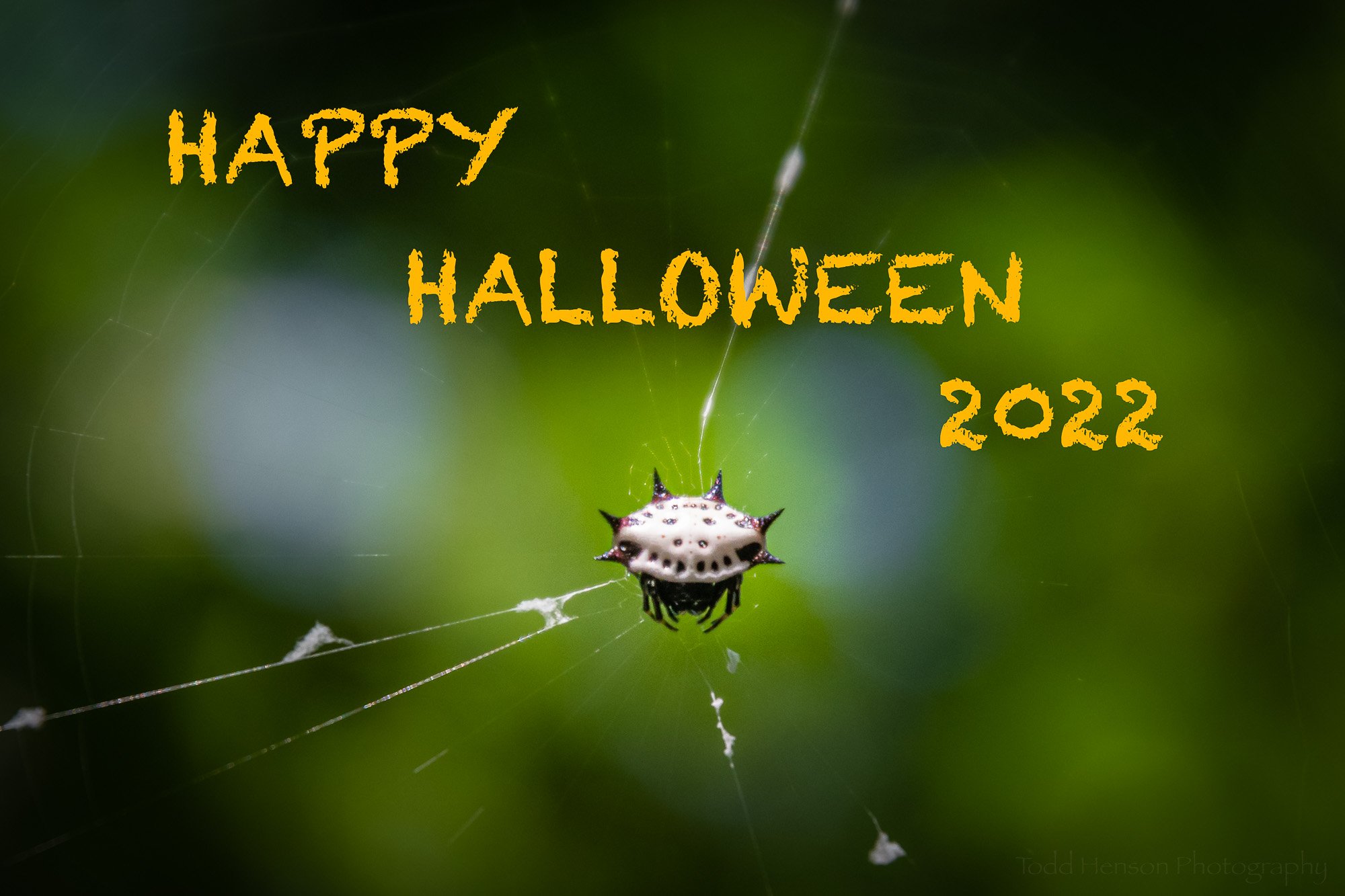 Happy Halloween 2022
