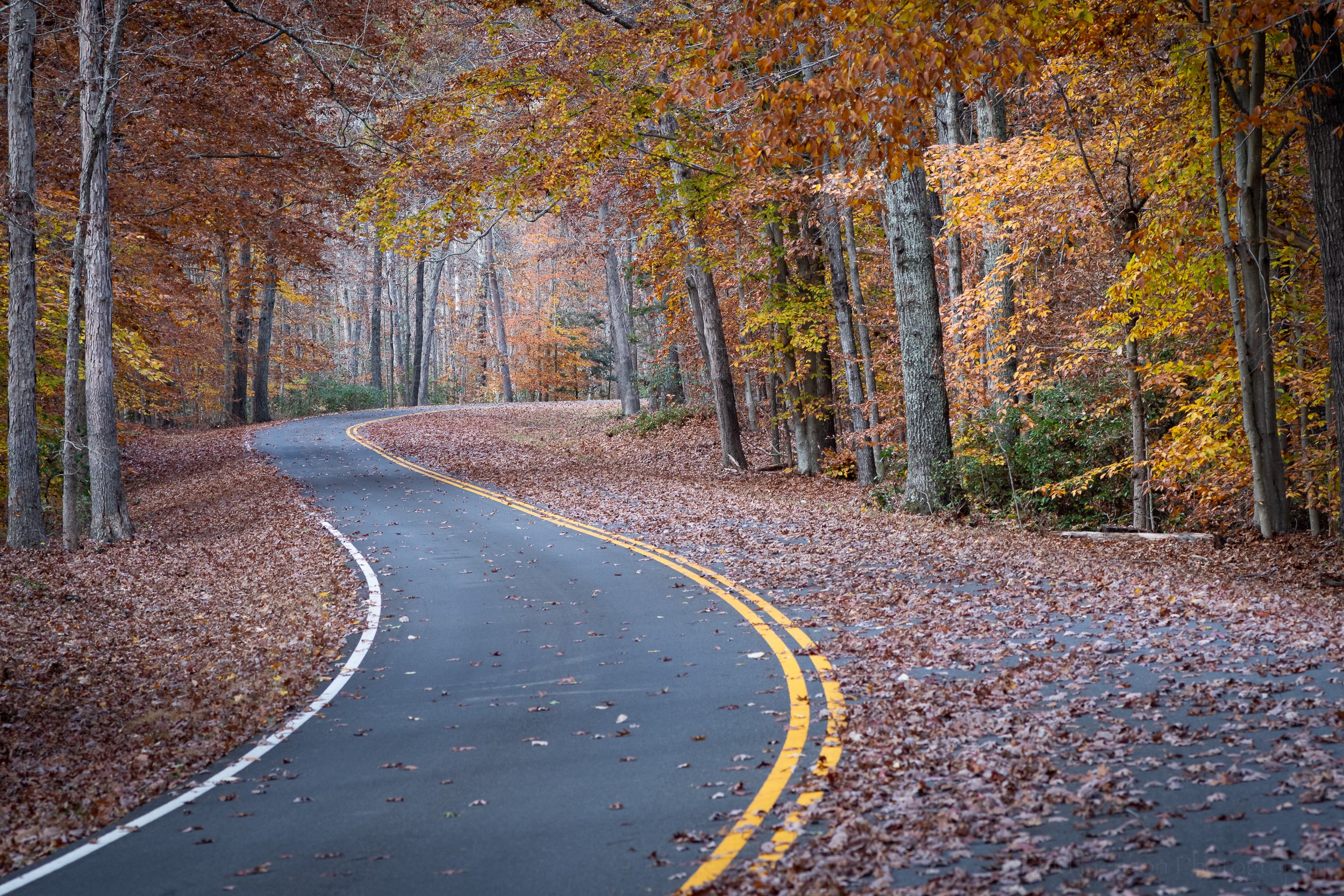 Walking the Scenic Drive in Fall #3