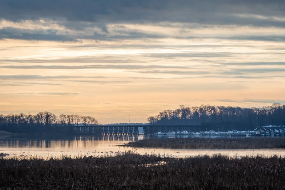 Opening Neabsco Creek Boardwalk New Years Day 2024 — Todd Henson ...
