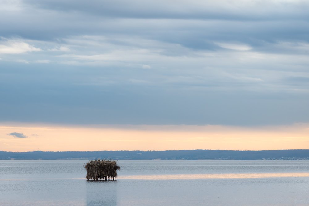 hunting-blind-sunrise-on-the-potomac-river-2_THP.jpg