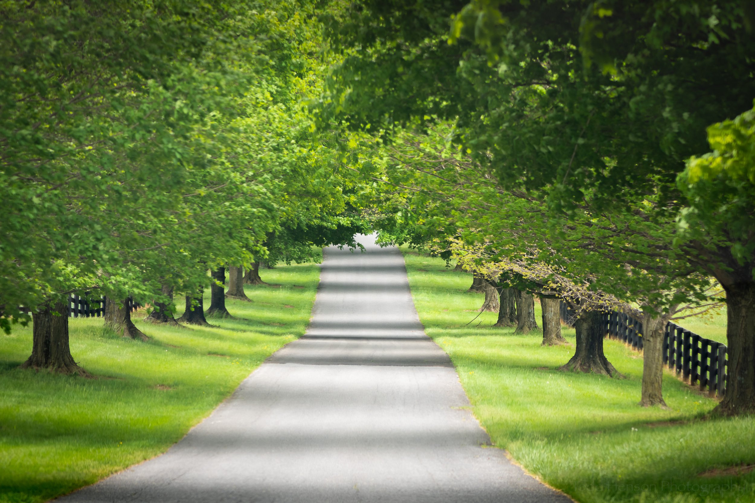 The Road Goes Ever On and On