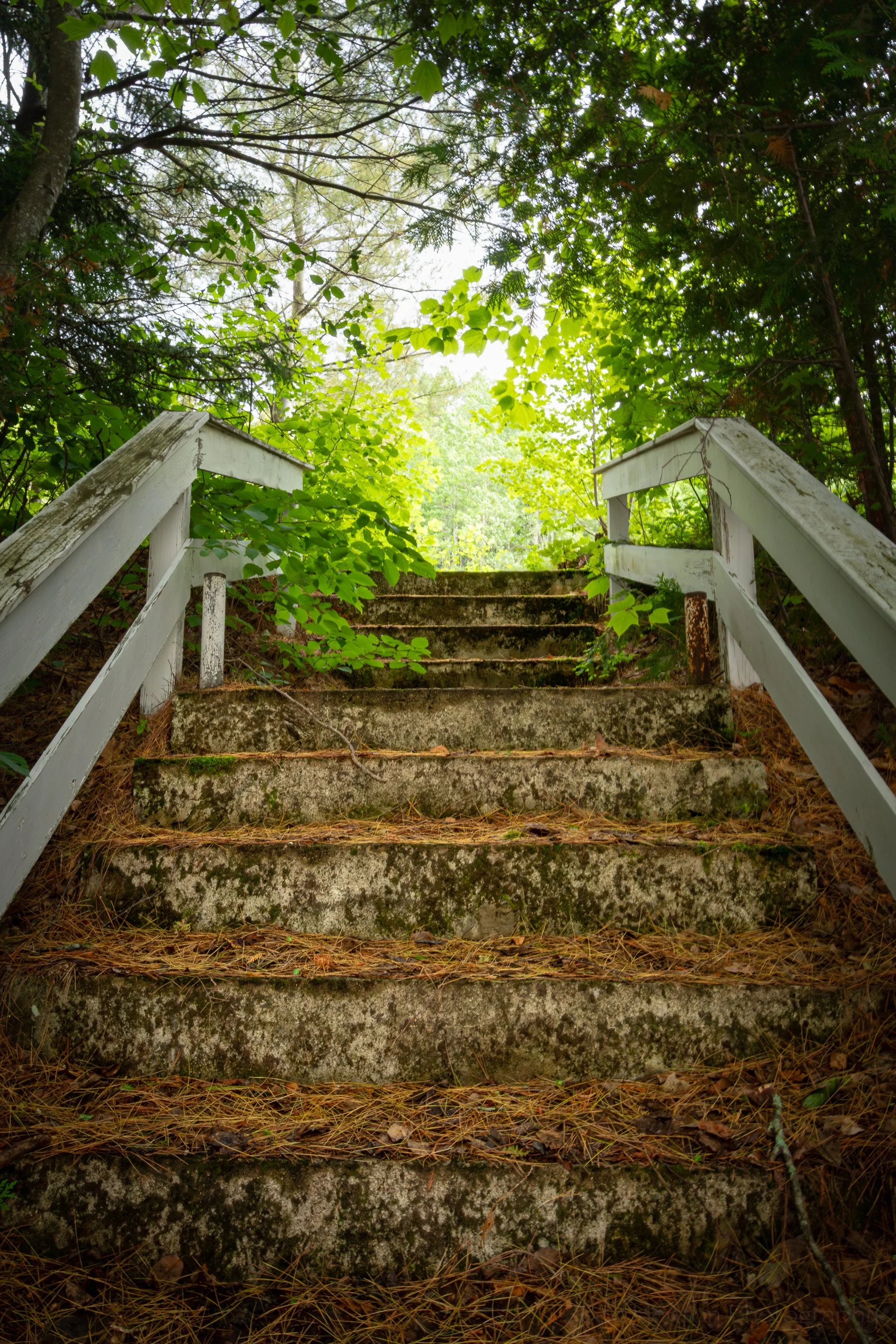 Up the stairs to the cemetery in Stark, New Hampshire