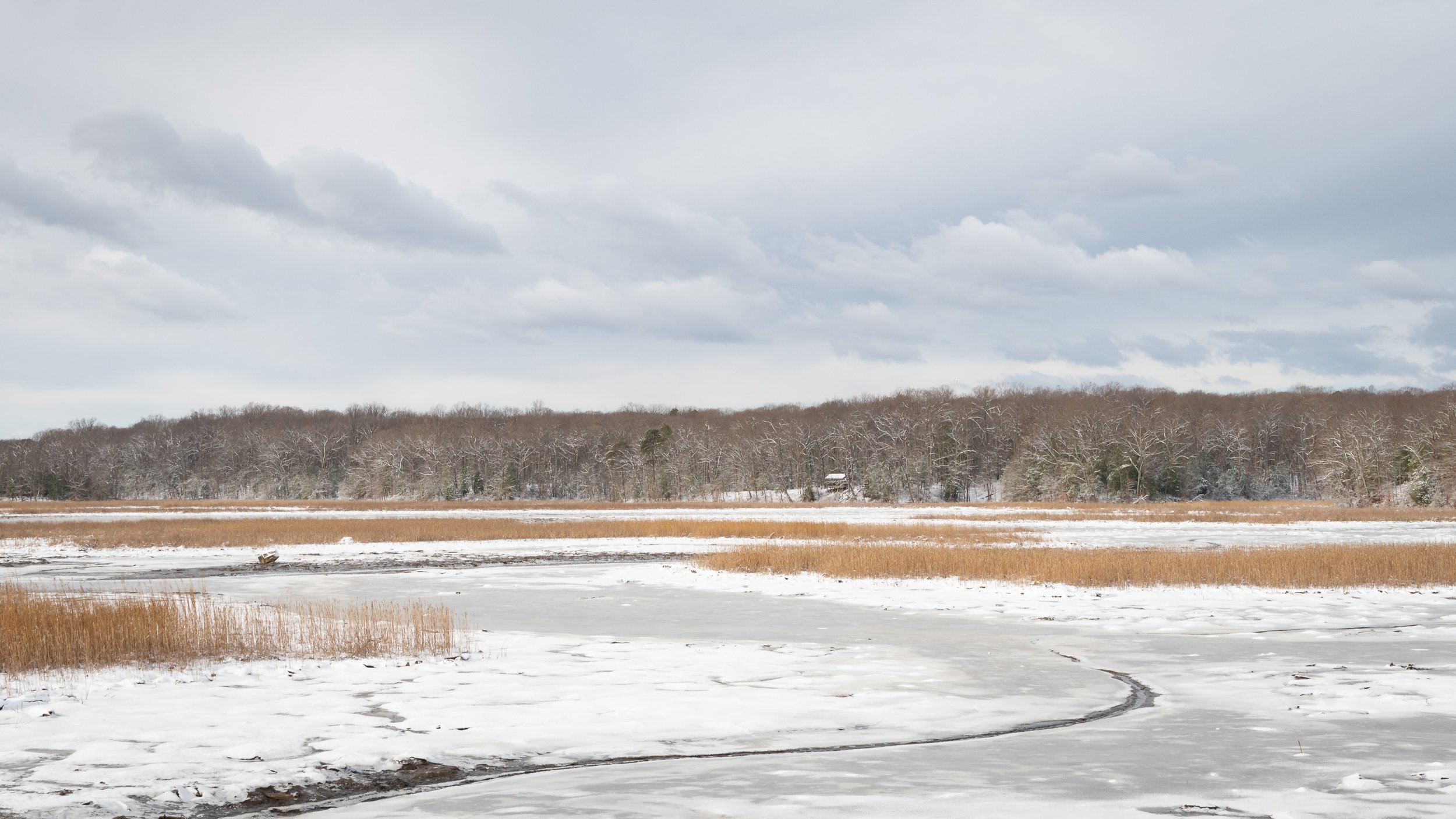 6-snow-at-the-great-marsh_THP.jpg