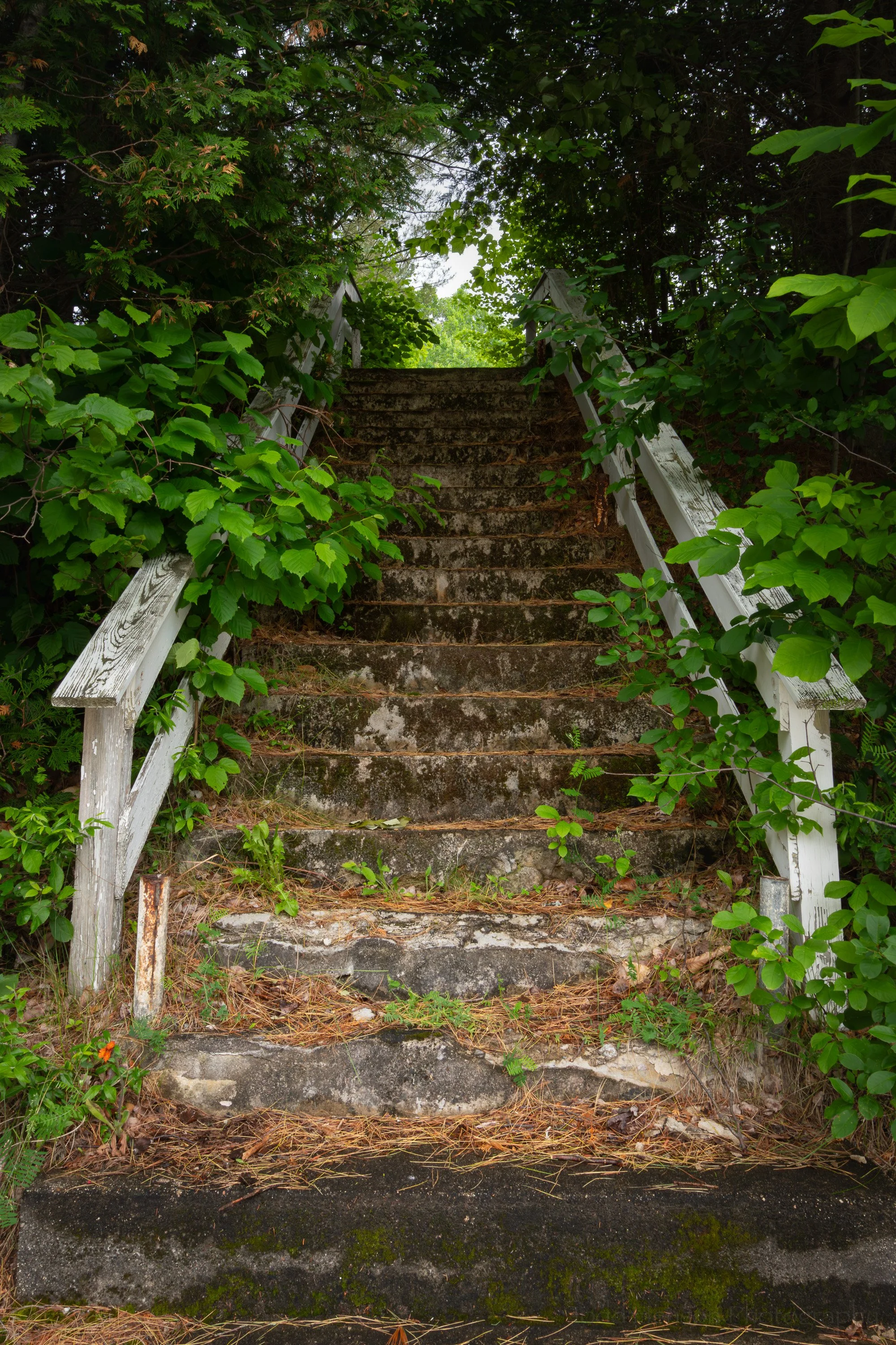 The roadside stairs to the Stark cemetery