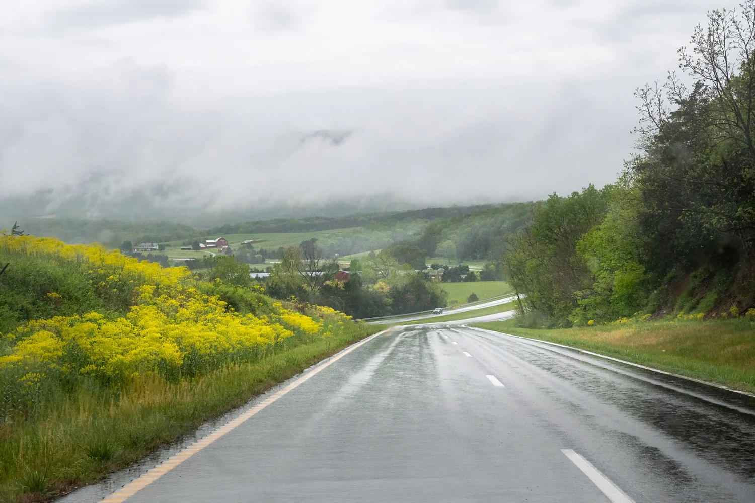 Roadtrip from the Blue Ridge to Mount Jackson in the Rain — Todd Henson ...