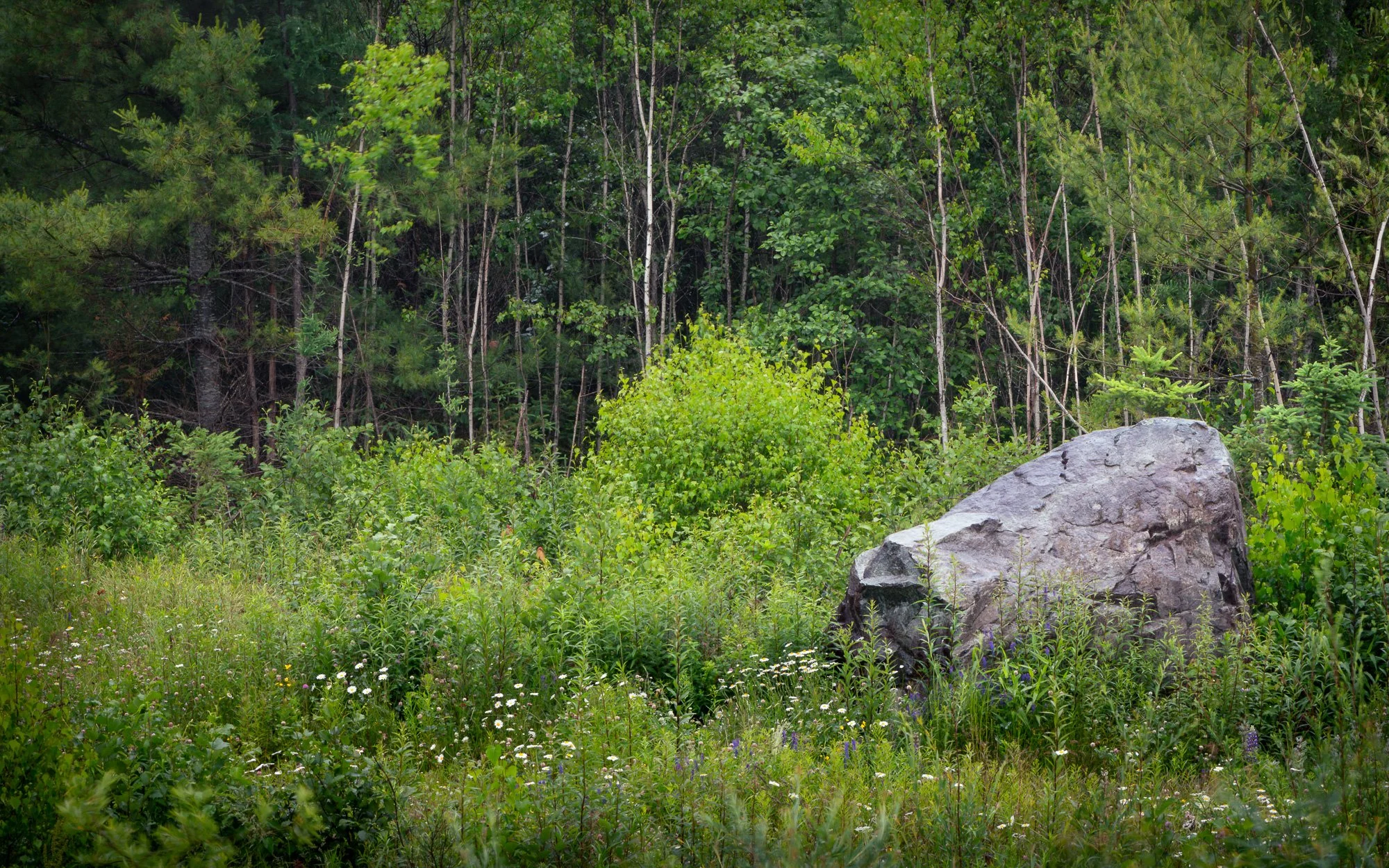 The 0.4 second exposure