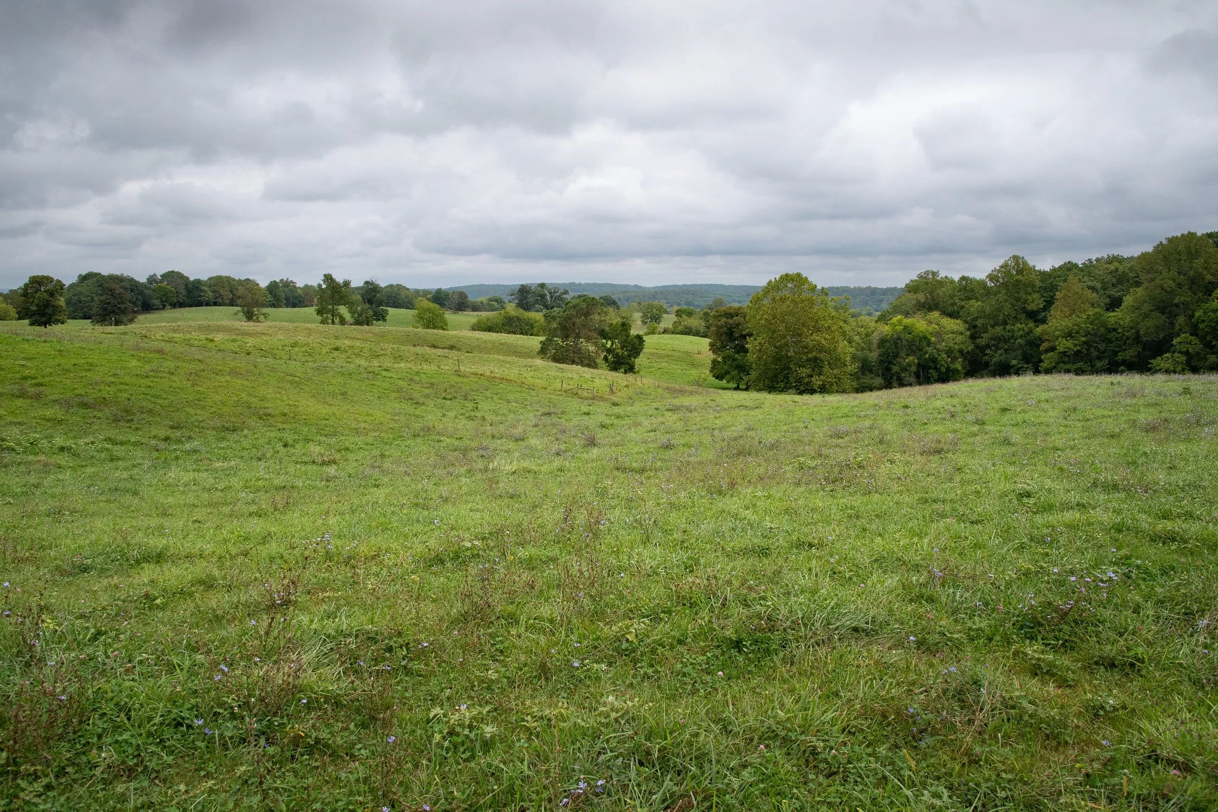 Lakota Ranch in Remington, Virginia — Todd Henson Photography