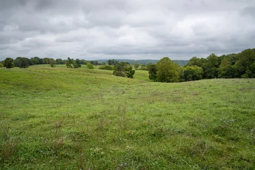 Lakota Ranch in Remington, Virginia — Todd Henson Photography