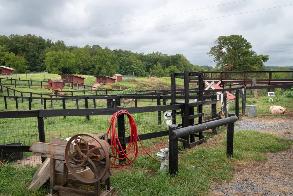 Lakota Ranch in Remington, Virginia — Todd Henson Photography