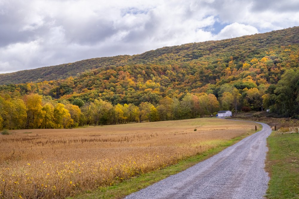 a-little-fall-color-at-seven-bends_THP.jpg