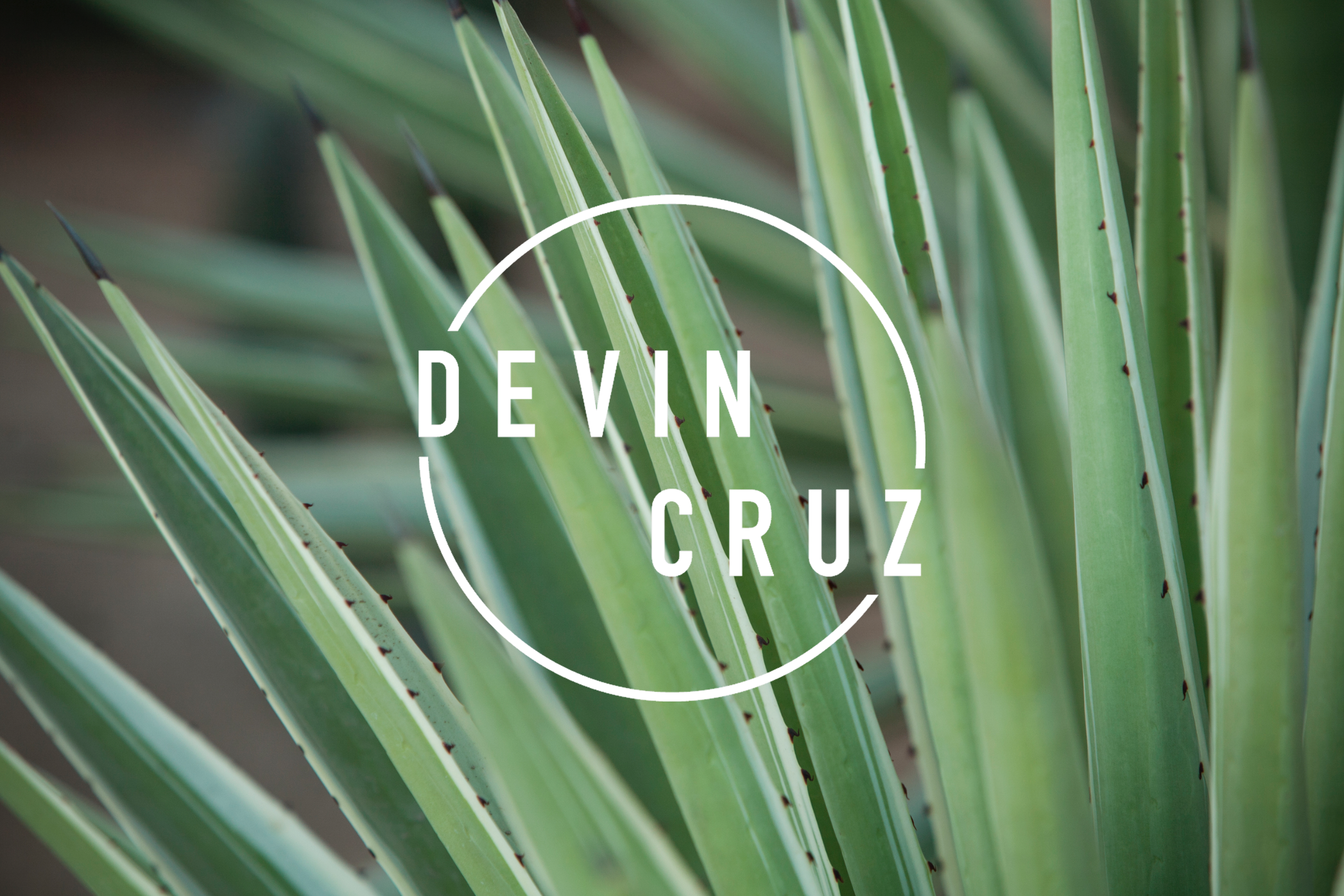 Screen Shot 2017-05-30 at 5.59.49 PM.png