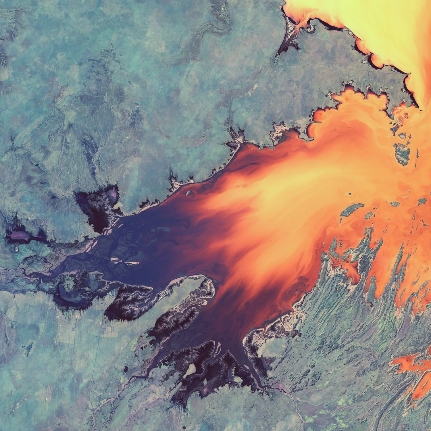 Celestial-11_Color_v1_Jim-LePage.jpg