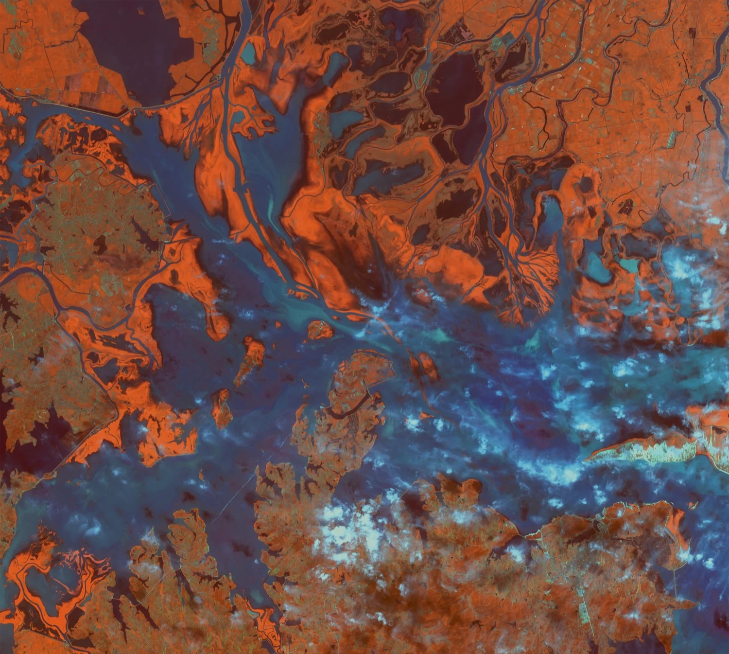 Celestial-21_Color_v1_Jim-LePage.jpg