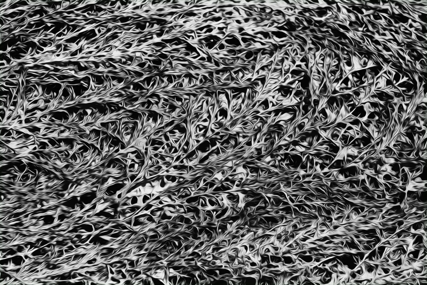Organic_06_Jim-LePage.jpg