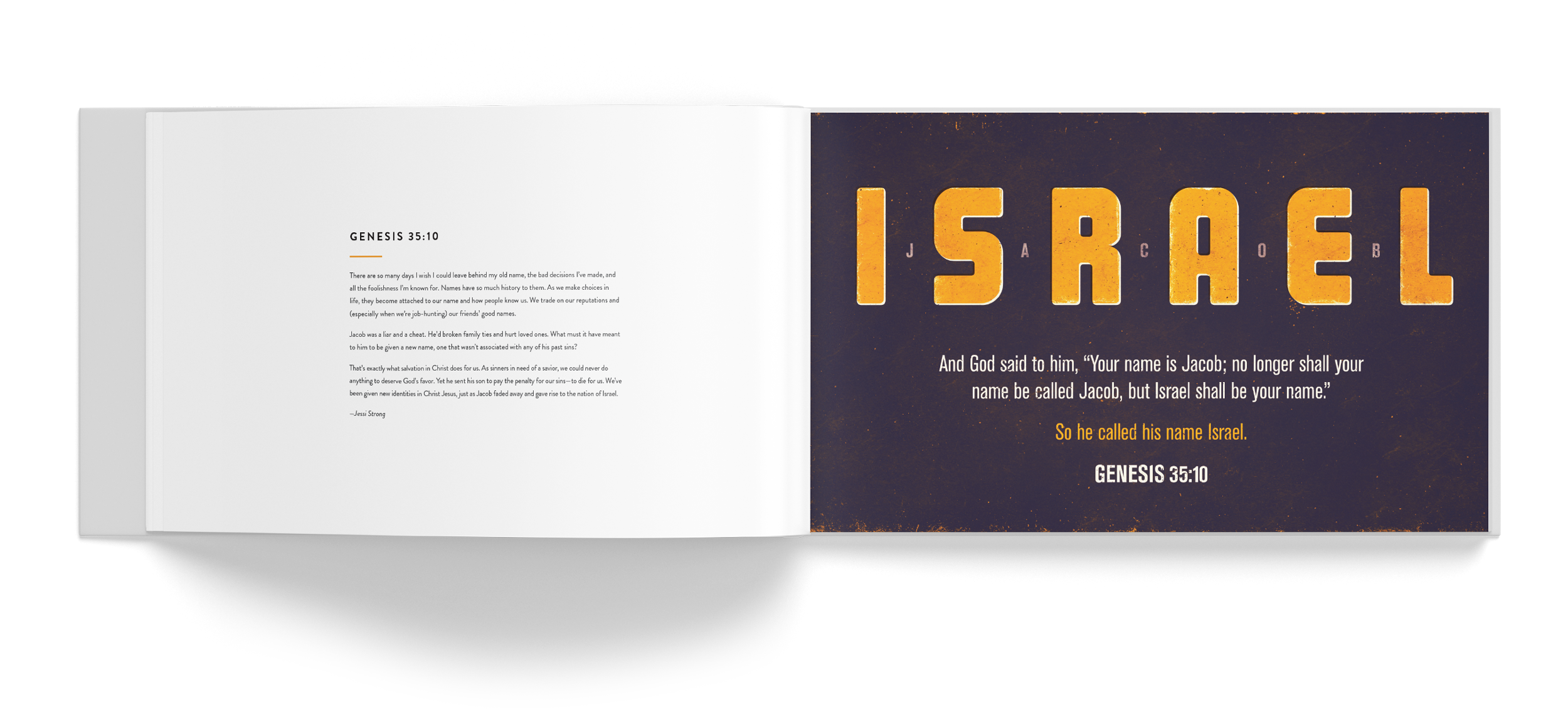Picturing-Scripture_Spread-01.png