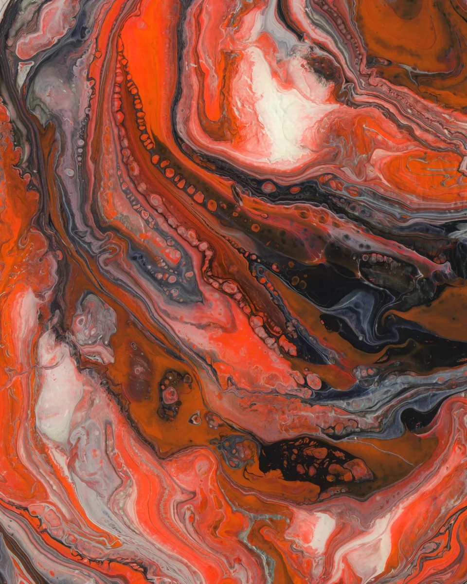 4x5 - whole 2.jpg