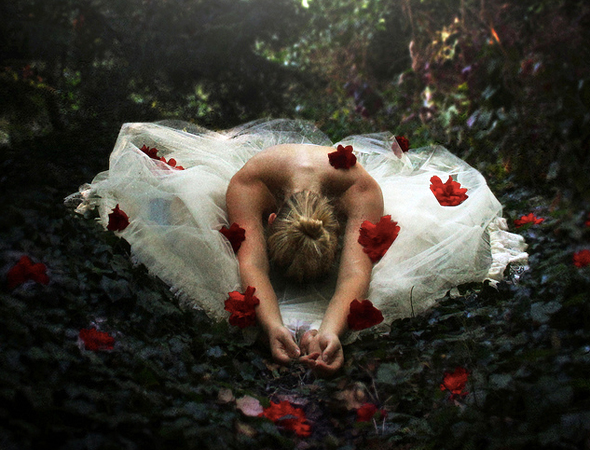 Rosehead.jpg