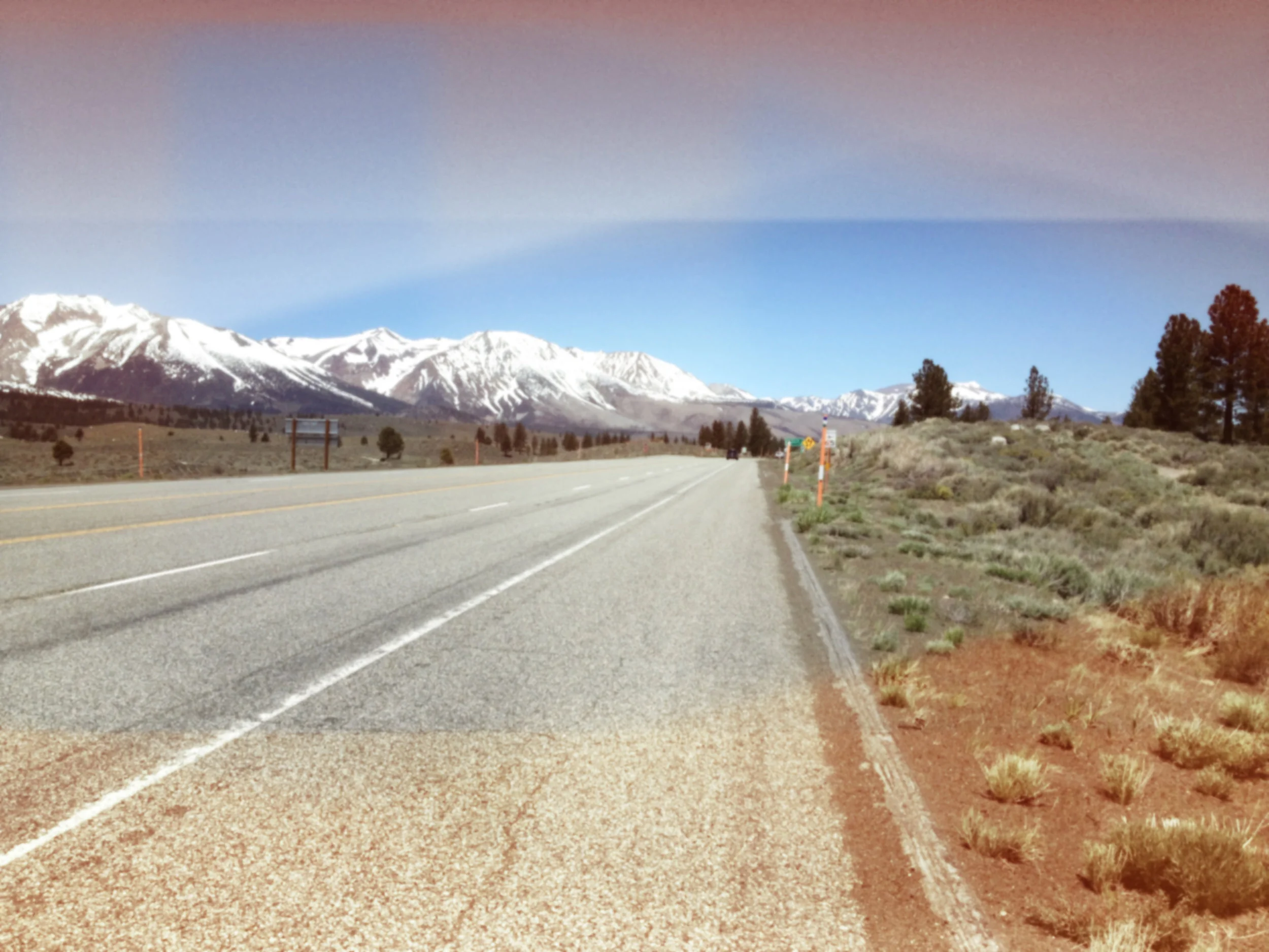A pretty good spot. Mainly, there's room to pull over and some cool trees to look at.