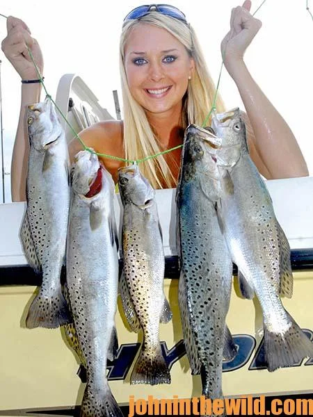 It's About Not Having The Money You Need To Buy The Things You Want