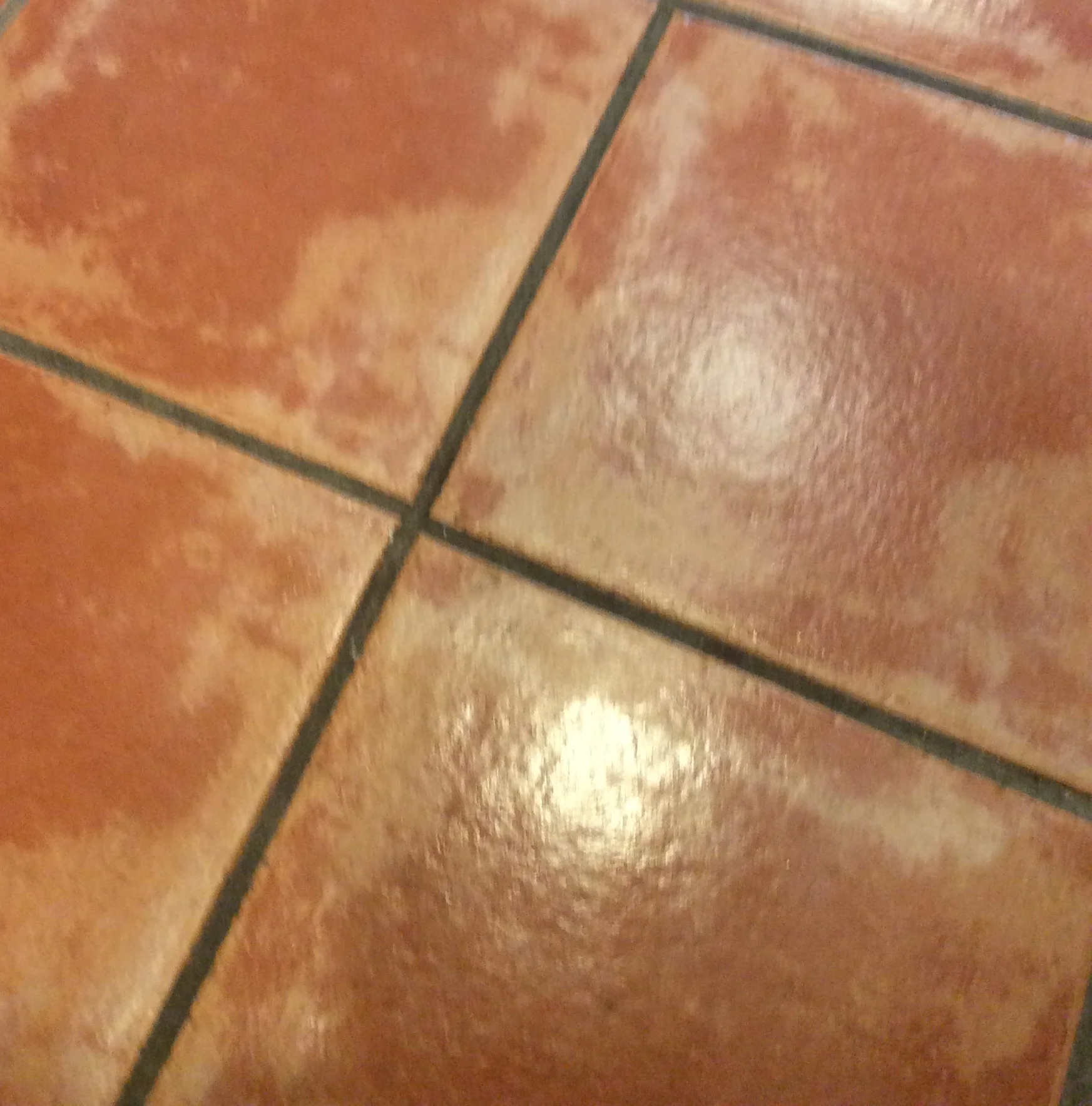 FullSizeRender.jpg