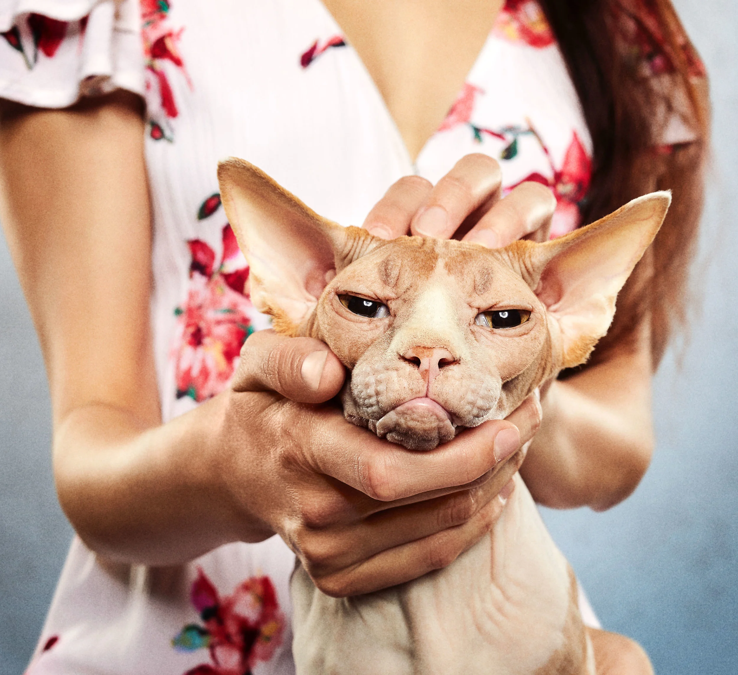 facebookpets.jpg