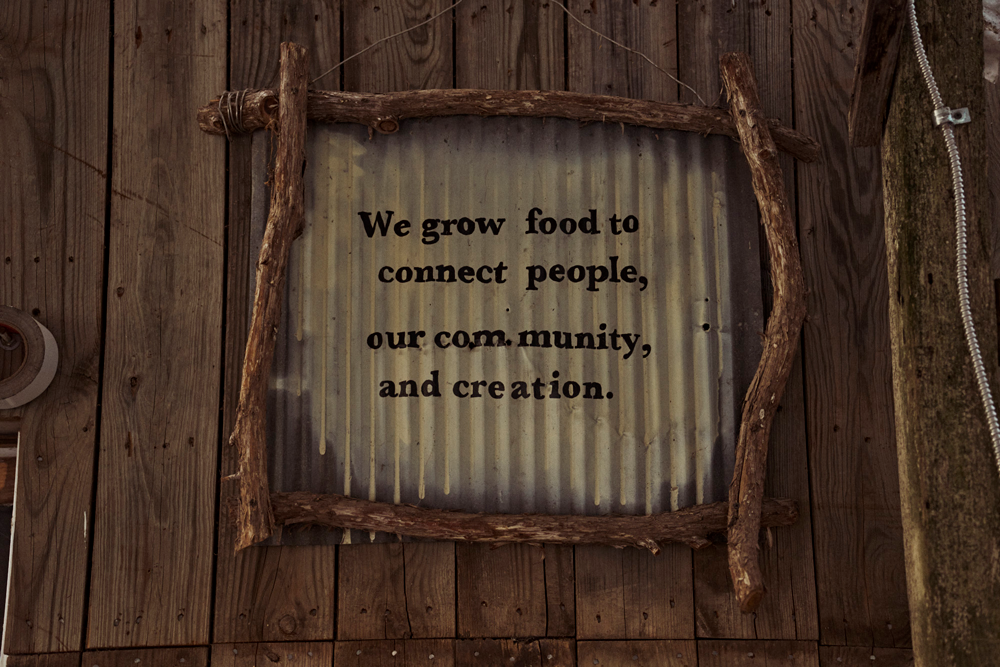 01_250826_MillsapFarm_CSA_0038.png