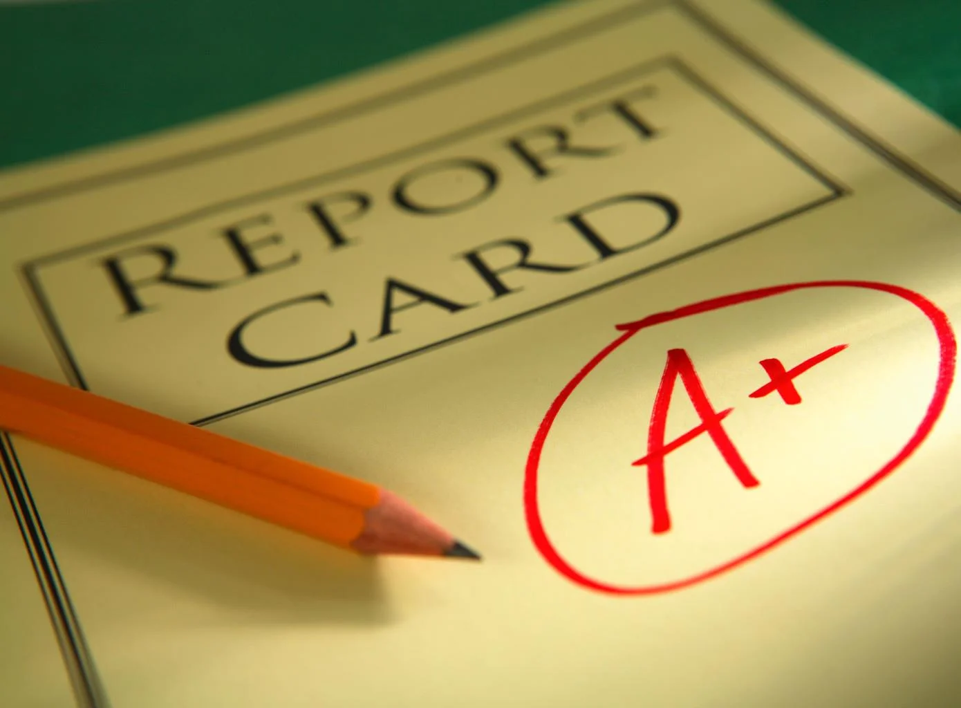 Proud Father's Reaction To Son's Report Card