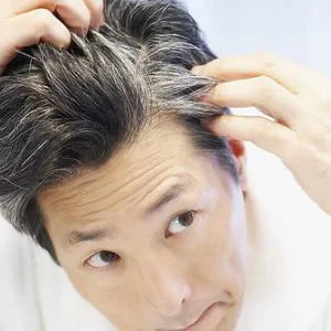 6 Things You Didn T Know About Gray Hair Every Little Thing