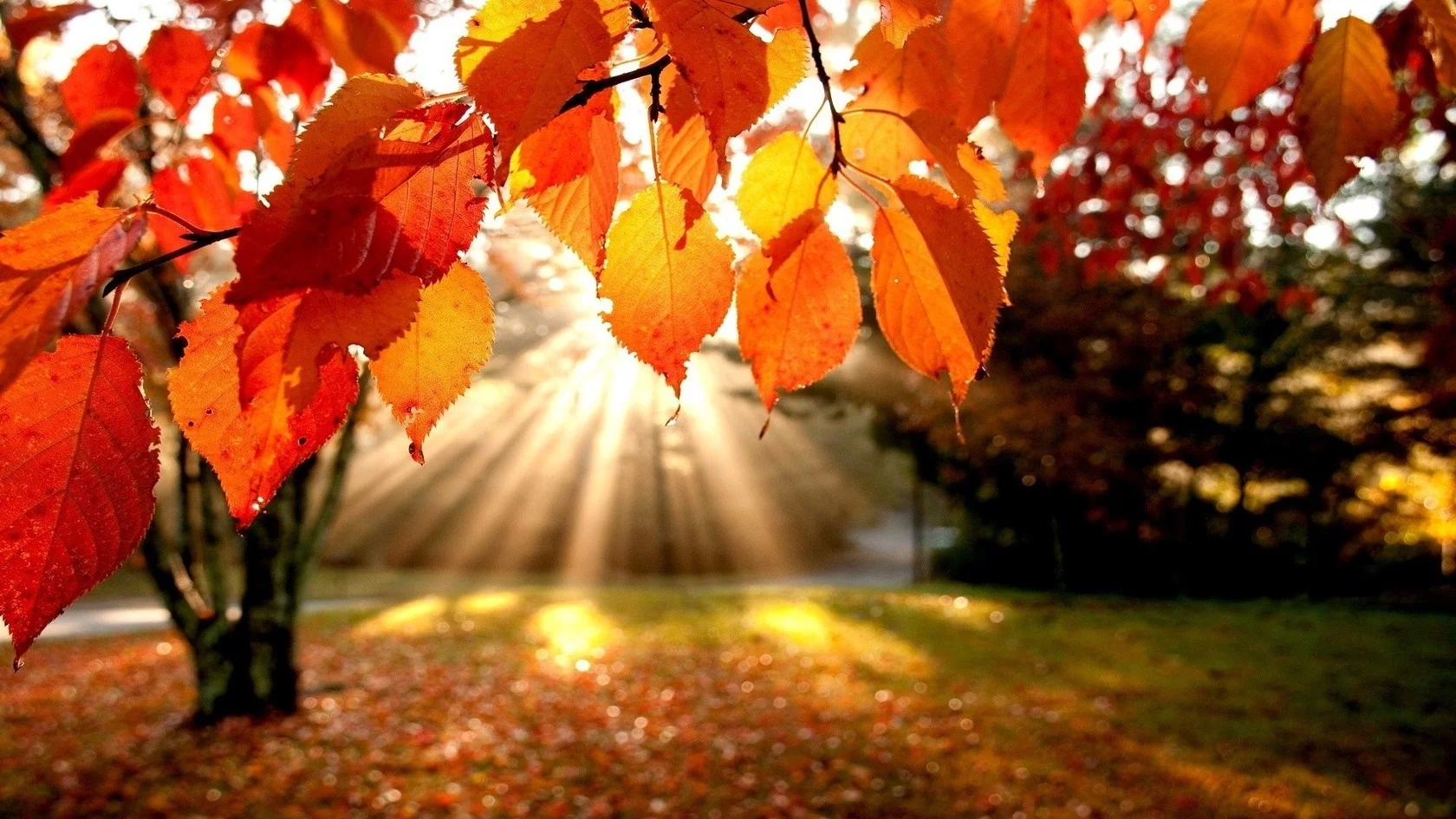 3 Easy Tips For a Healthy Autumn