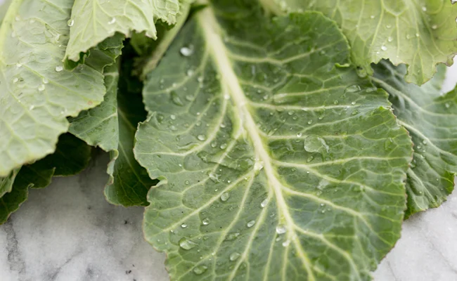 The 6 Vegetables That Will Save Your Life