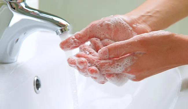 How To Avoid Listeria During Pregnancy