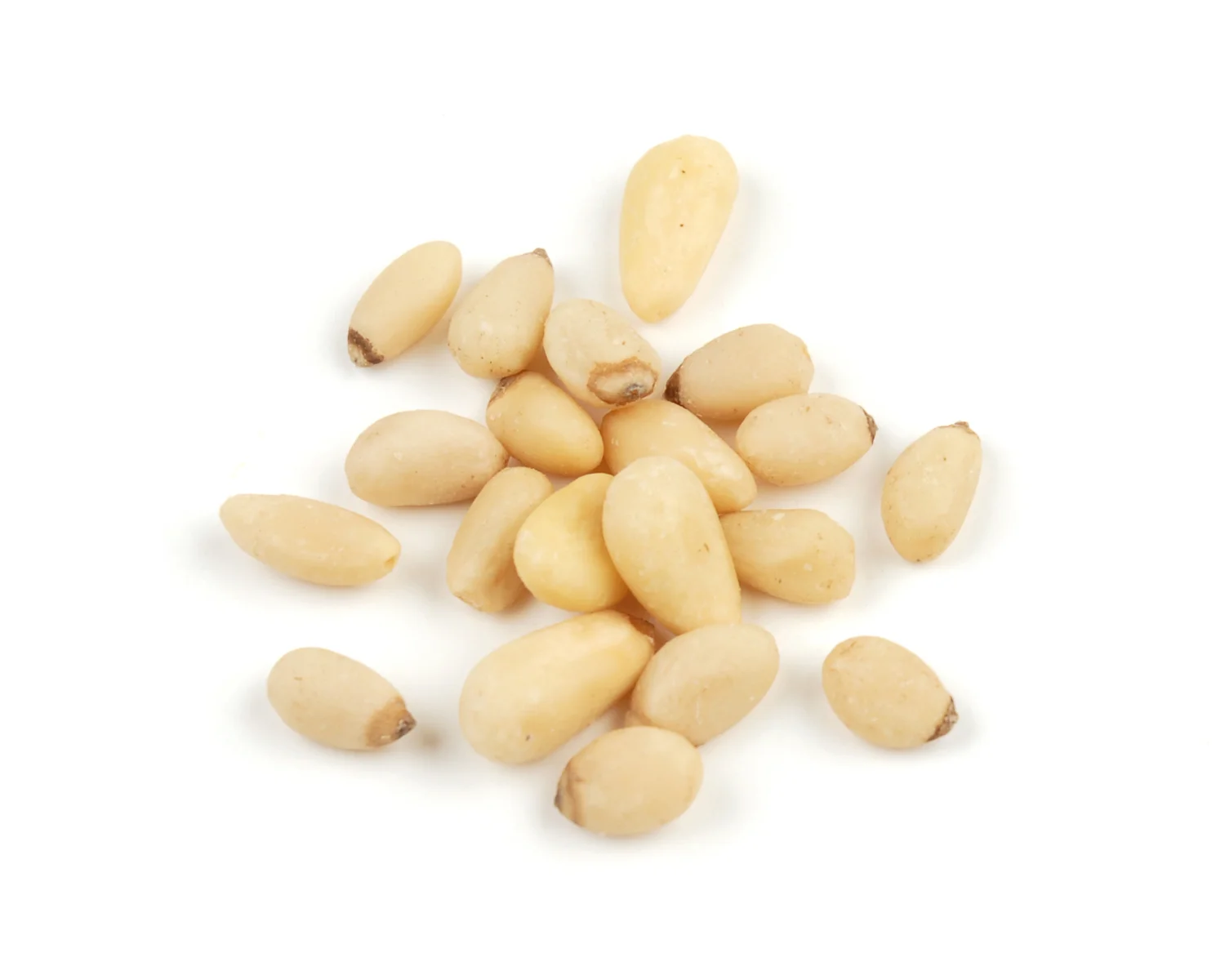 Pine Nut Benefits: 5 Ways This Nutritious Seed Can Rejuvenate Your Body