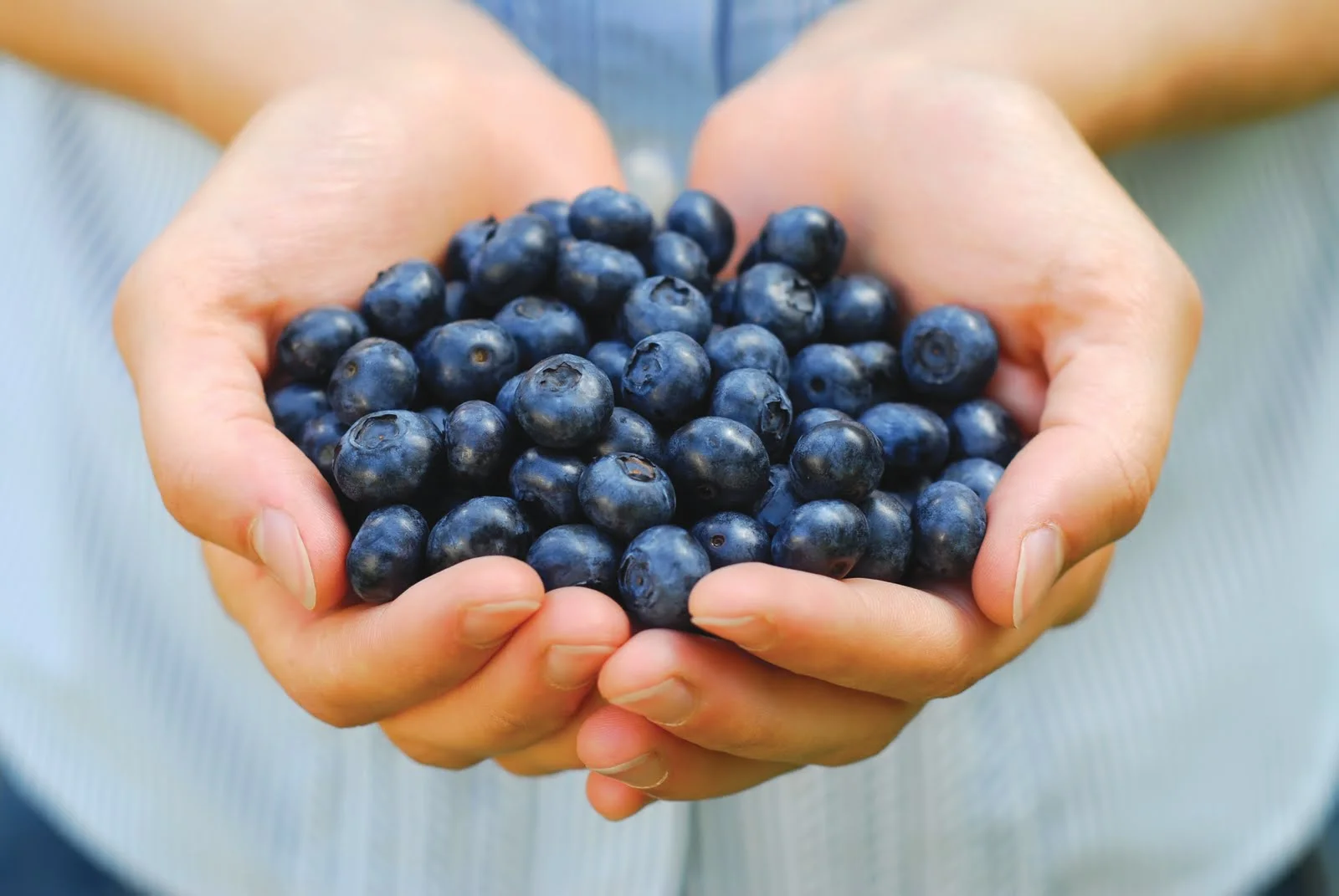 Blueberries Could Lower Your Blood Pressure: RCT Data