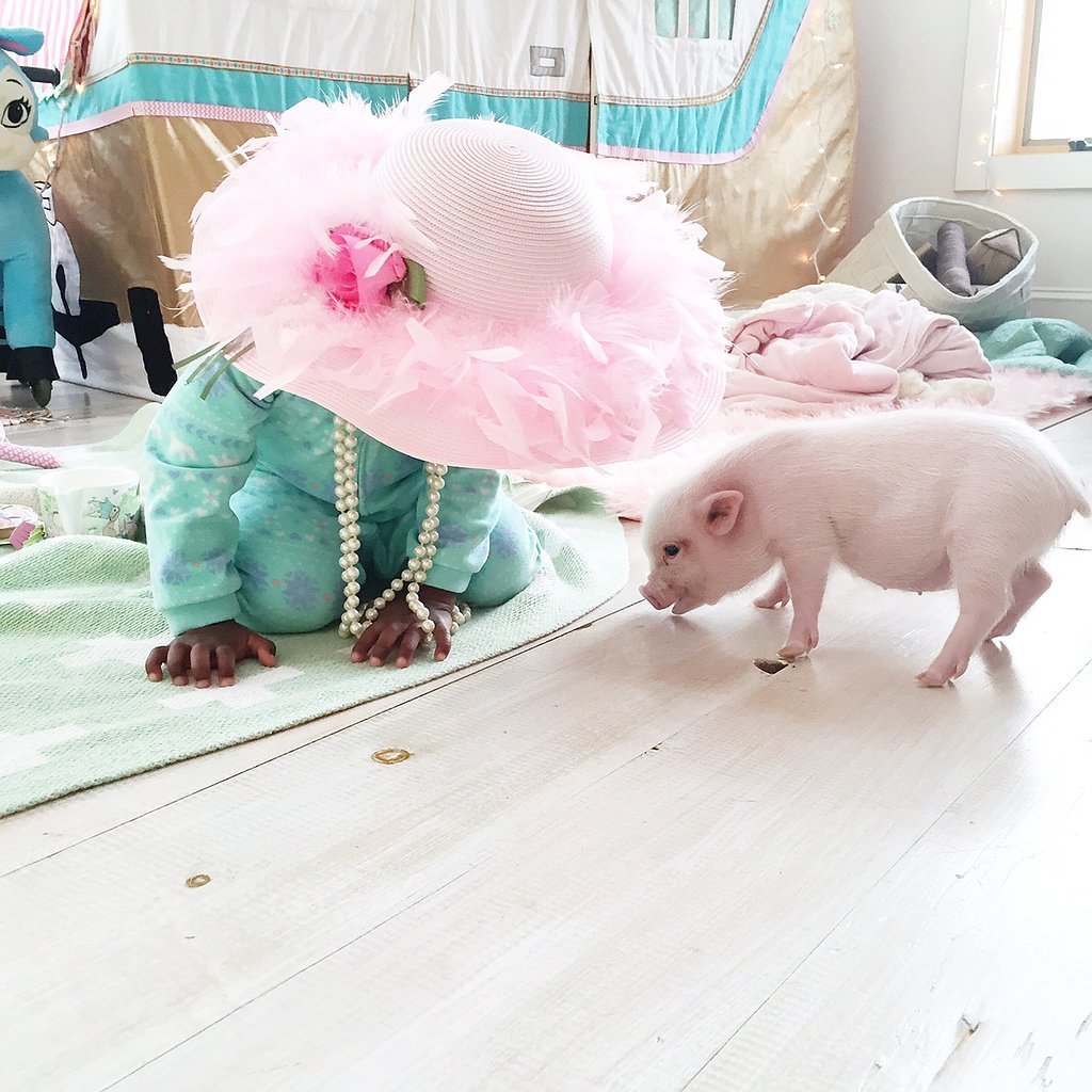Adorable-Pictures-Toddler-Her-Pet-Pig (5).jpg