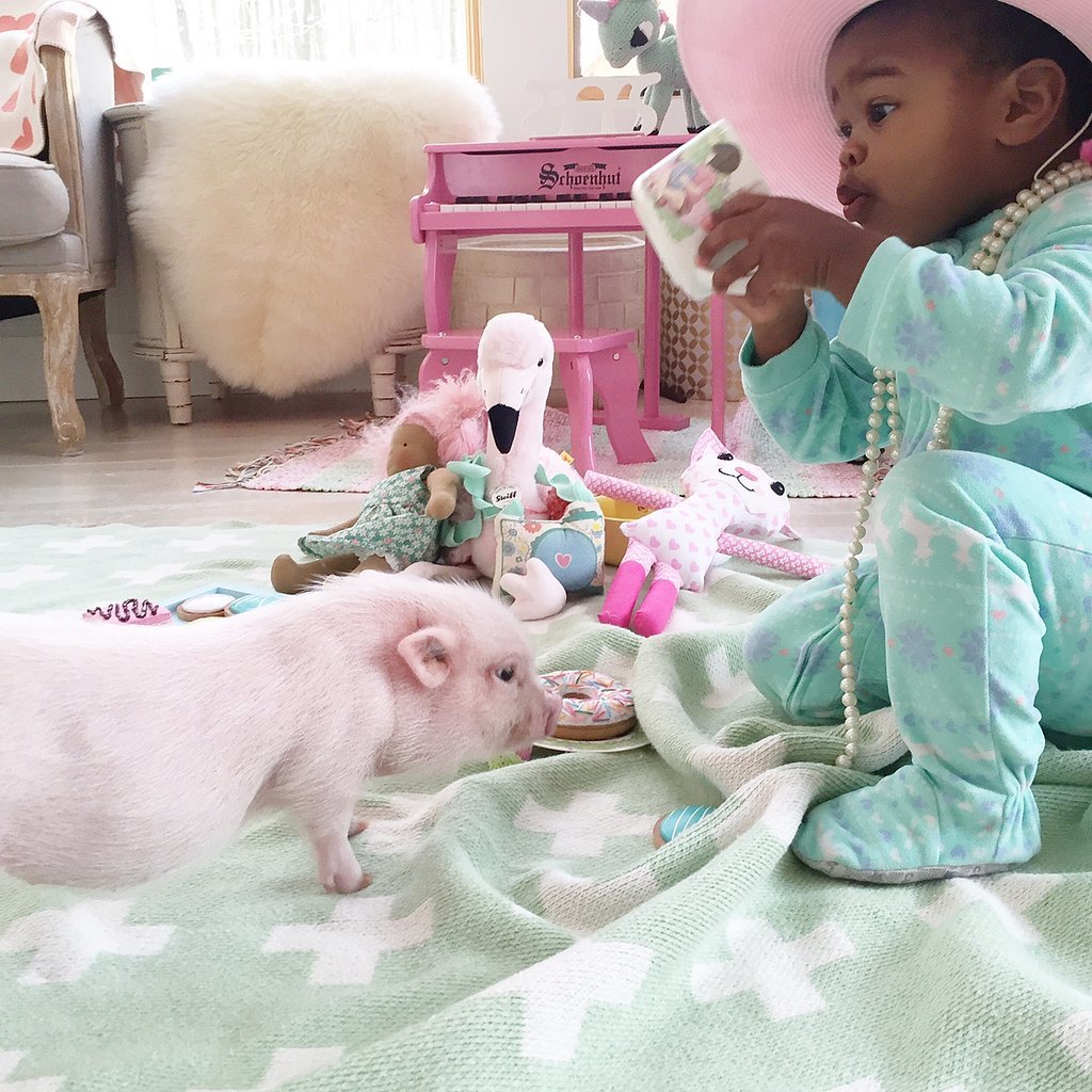 Adorable-Pictures-Toddler-Her-Pet-Pig (4).jpg