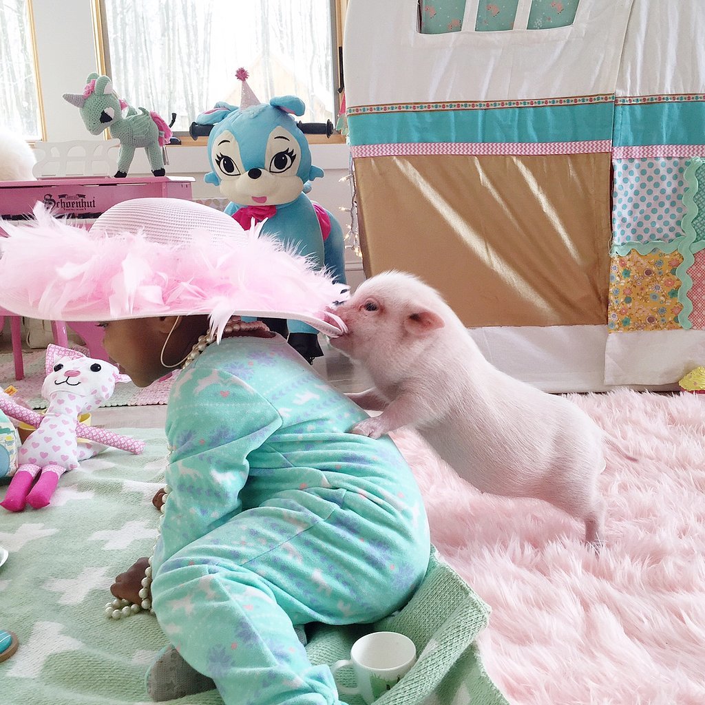 Adorable-Pictures-Toddler-Her-Pet-Pig (2).jpg