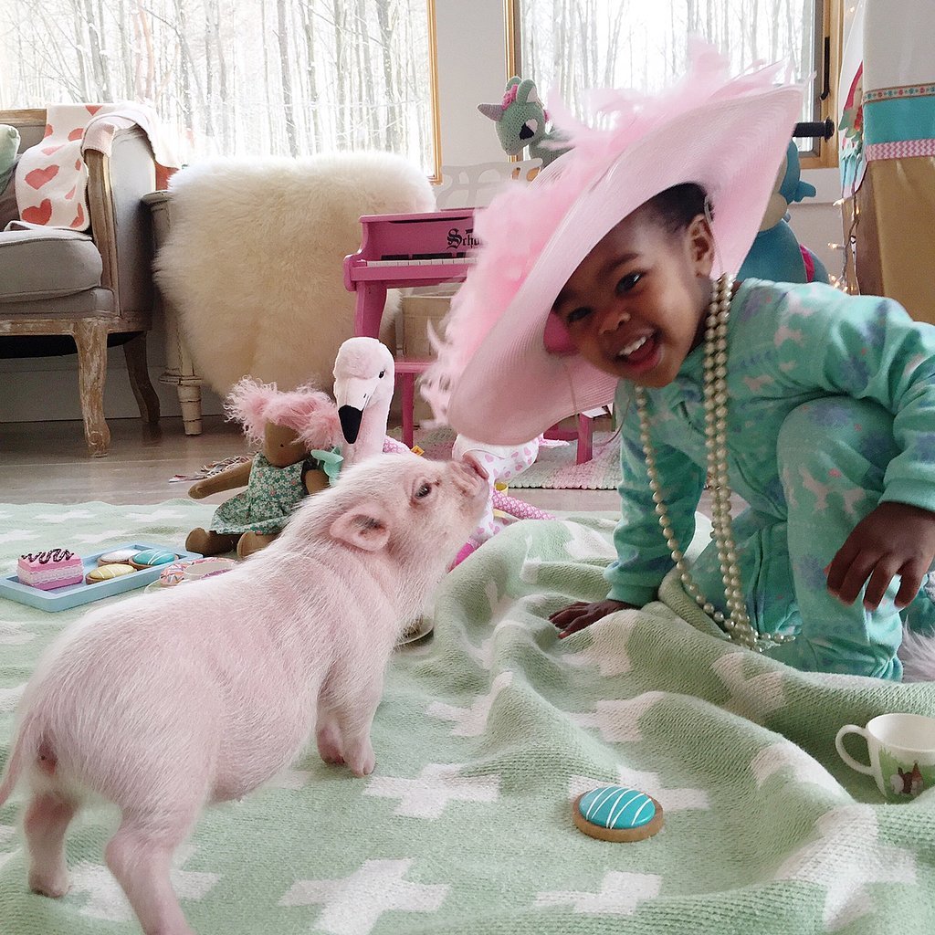 Adorable-Pictures-Toddler-Her-Pet-Pig.jpg