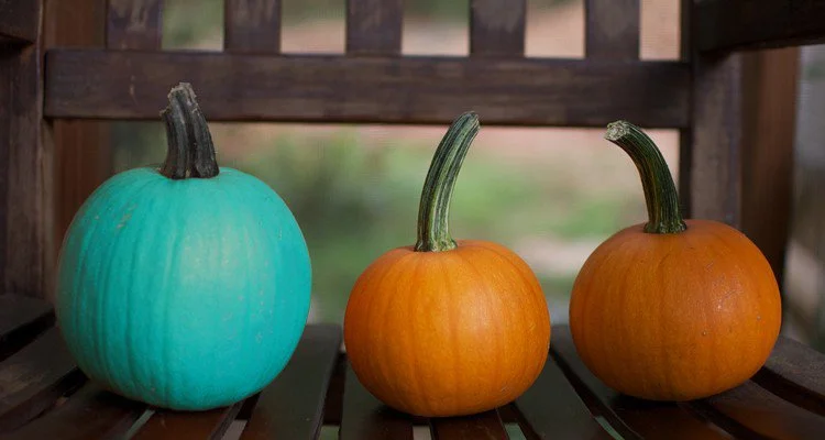 What It Means If You See A Teal Pumpkin This Halloween