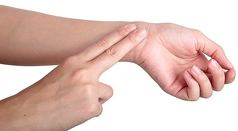 Respiration 3.jpg