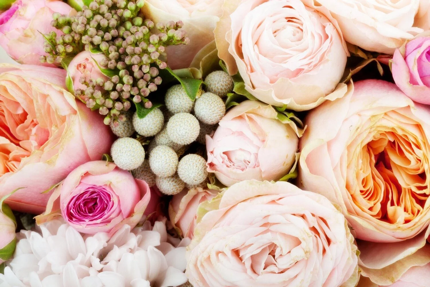 7 Most Romantic Flowers To Give To Your Partner