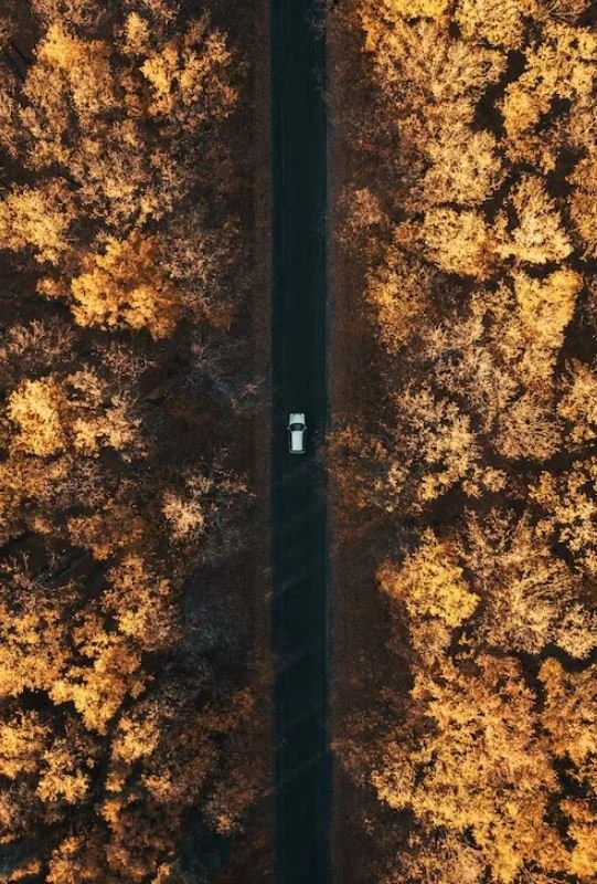 9 Items Essential For Roadtripping