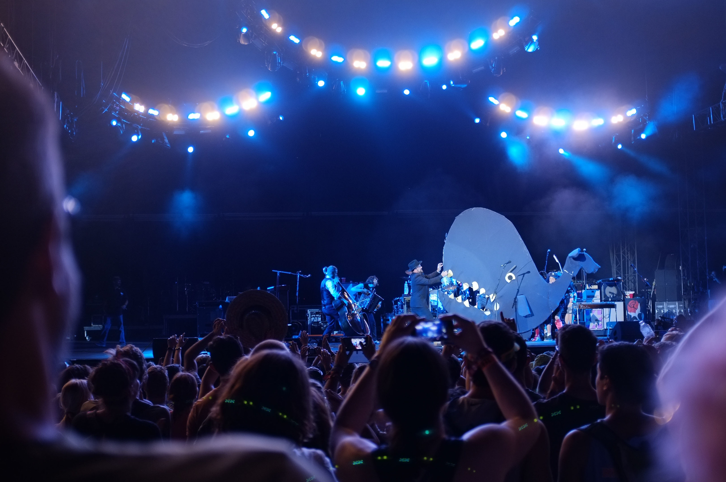 Decemberists and a whale